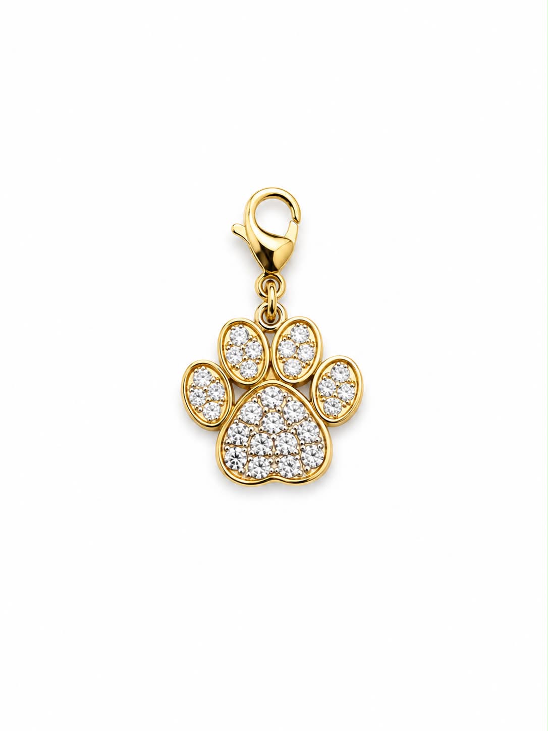 Fur Ever Charm