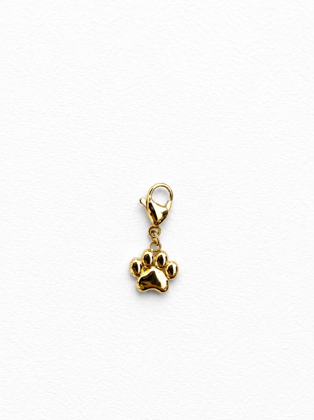 Faithful Companion Charm