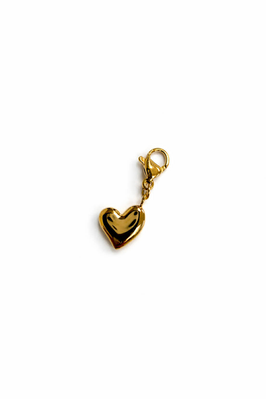 The Faithful Heart Charm